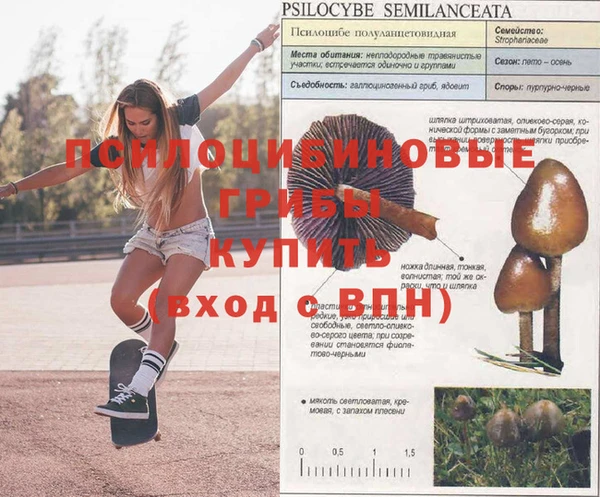 молекула духа Алзамай