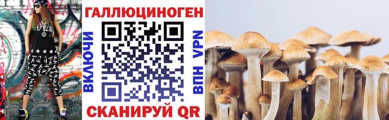 площадка формула Анжеро-Судженск Галлюциногенные грибы MAGIC MUSHROOMS